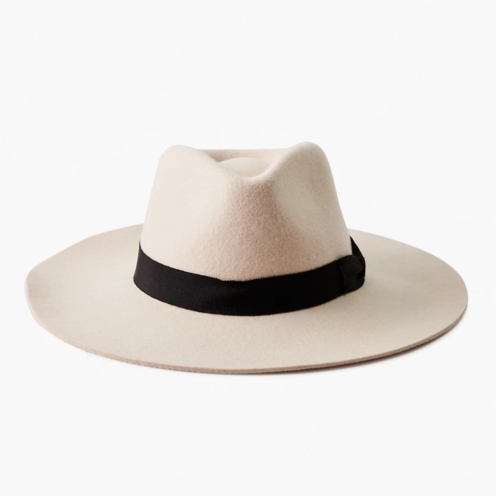 ARITZIA Auxiliary Wide Brim Wool Fedora Off White